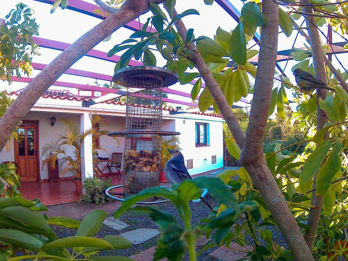 La Casa De La Cartita Villa Puntagorda  Exterior photo